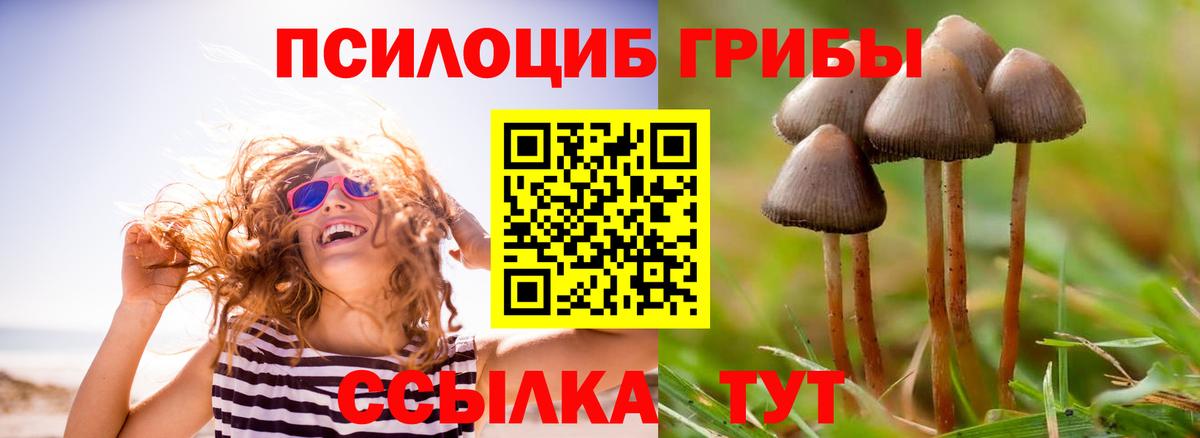 Псилоцибиновые грибы мухоморы  Вход с VPN  Будённовск 